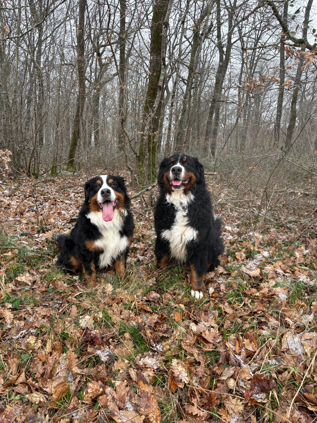 Impatience quand tu nous tiens